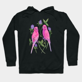 Pink budgies Hoodie